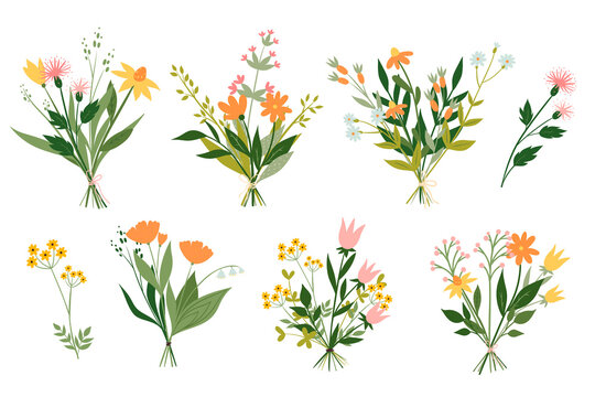 Set of cute bouquets of meadow flowers isolated on white background. Vector graphics.