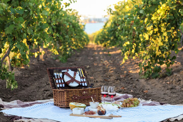 Tasty wine and snacks for romantic picnic in vineyard