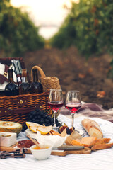 Tasty wine and snacks for romantic picnic in vineyard