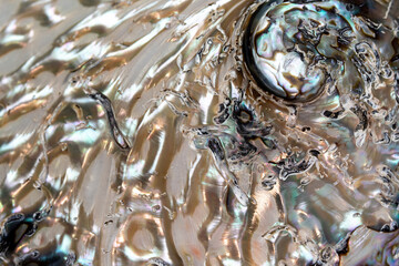 Macro photography of a external surface of a sea shell have been polished 