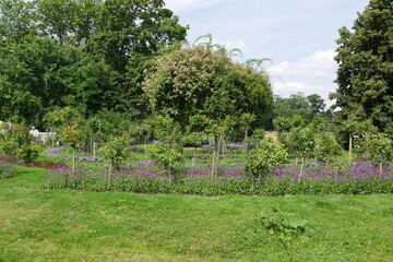 Schlosspark Hohenzieritz Blumenrabatten