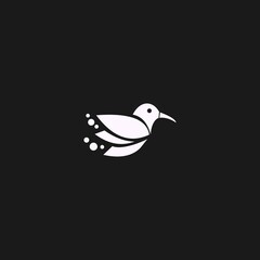 vector illustration bird