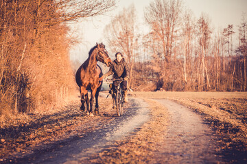 Ausdauertraining des Pferdes am Fahrrad