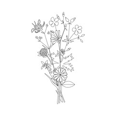 Vector line hand drawn illustration with a summer bouquet of wildflowers. Minimalist Flower, herb and medicinal plant. For logo design, tattoo, decor, postcard