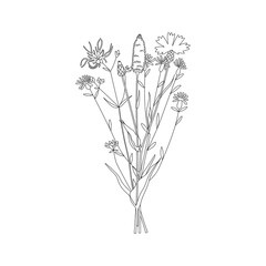 Vector line hand drawn illustration with a summer bouquet of wildflowers. Minimalist Flower, herb and medicinal plant. For logo design, tattoo, decor, postcard