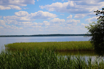 View of a small lake on a sunny day.