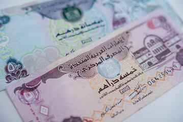 World money collection. Fragments of United Arab Emirates money