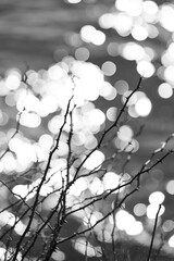 Februarstimmung
