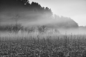 Fototapeta premium Februarstimmung