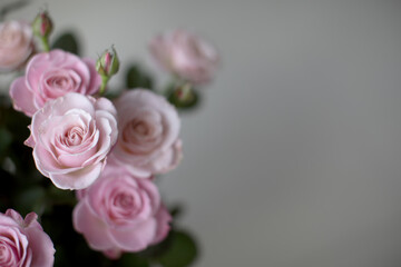 Beautiful bouquet of pink roses.