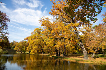 Obraz premium Fürst Pückler Park Bad Muskau