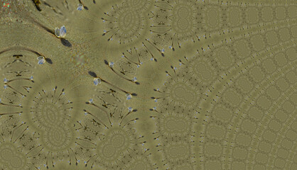 muszelki na piasku w grafice fraktalnej © Gosiak