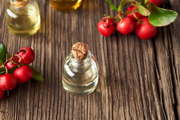 A transparent bottle of essential oil with wintergreen plant