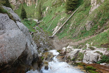 waterfall in the forest