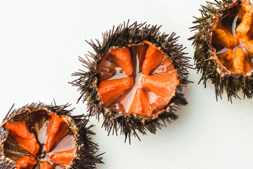 Fresh sea urchins (ricci di mare) or uni on the white background, close-up, macro. Delicious...