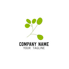 Elegant green twig logotype for any project