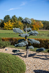 Findlingspark Nochten