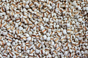 Dry organic job's tear seed background in dark tone