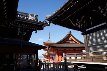 Obraz premium 京都のお寺と紅葉