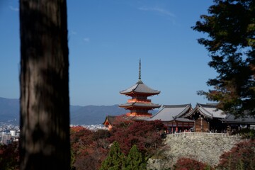 京都のお寺と紅葉