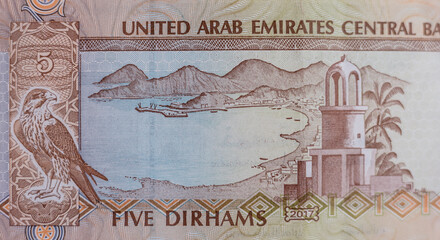 World money collection. Fragments of United Arab Emirates money