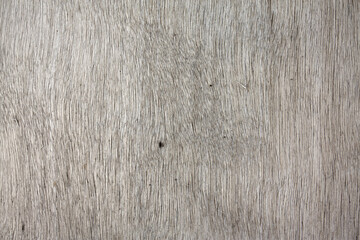 Closeup view of the old plywood