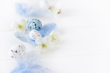 Easter  template on white board.White spring flowers , easter eggs and blue feathers, space for text