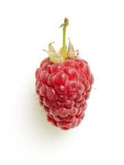 Isolated raspberries on white background