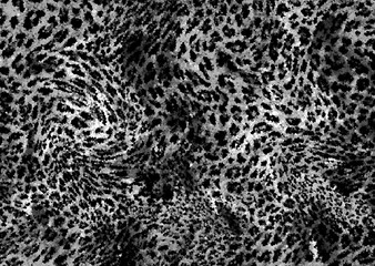 abstract animal skin pattern