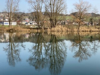 Flach lake or Flachsee in the natural protection zone Aargau Reuss river plain (Naturschutzzone...