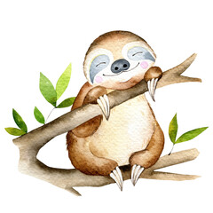 Watercolor smiling Sloth illustration, hand painted sloth
