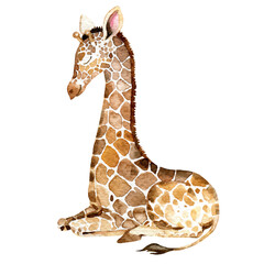 Fototapety  Watercolor sleeping Giraffe illustration, hand painted giraffe
