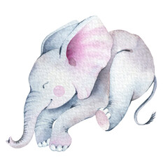 Watercolor sleeping Elephant illustration, hand painted baby elephant