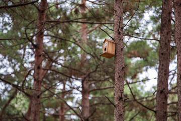 bird house on a tree