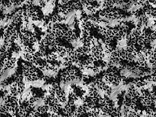 abstract animal skin pattern