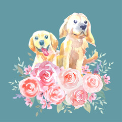 Cute Golden Retriever, dog watercolor with Rose flower at the bottom. 