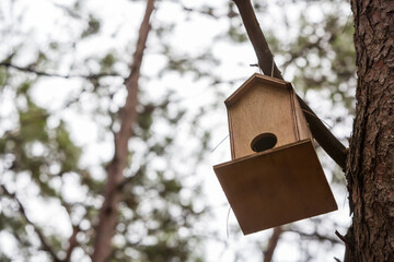 Front view, Inside the forest, wooden birdhouse attached to a pine tree trunk. Selective focus