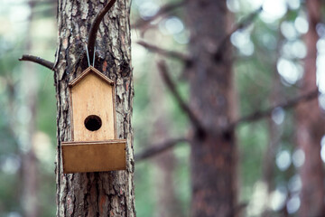Front view, Inside the forest, wooden birdhouse attached to a pine tree trunk. Selective focus