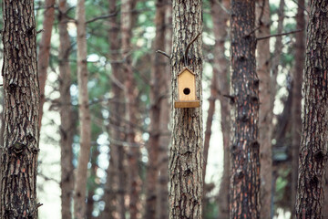 Front view, Inside the forest, wooden birdhouse attached to a pine tree trunk. Selective focus