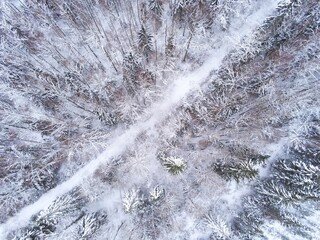 Snow covered forest protected forest reserve and a road in Estonia by drone view
