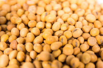 Soybean seeds grains in round white bowl close up top view
