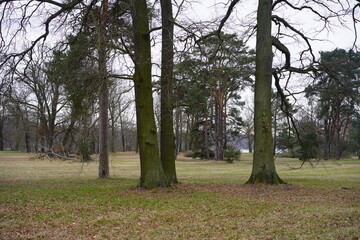 Alte Parkanlage an der Havel (Schlosspark Sacrow in Brandenburg)