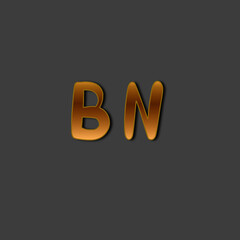 BN initial gold handwriting logo for identity