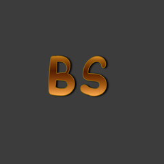 BS initial gold handwriting logo for identity