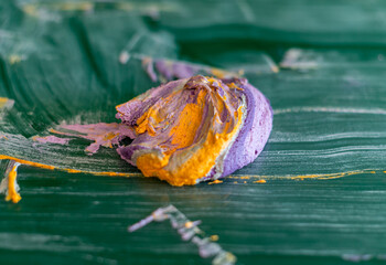 the rest of the colors 