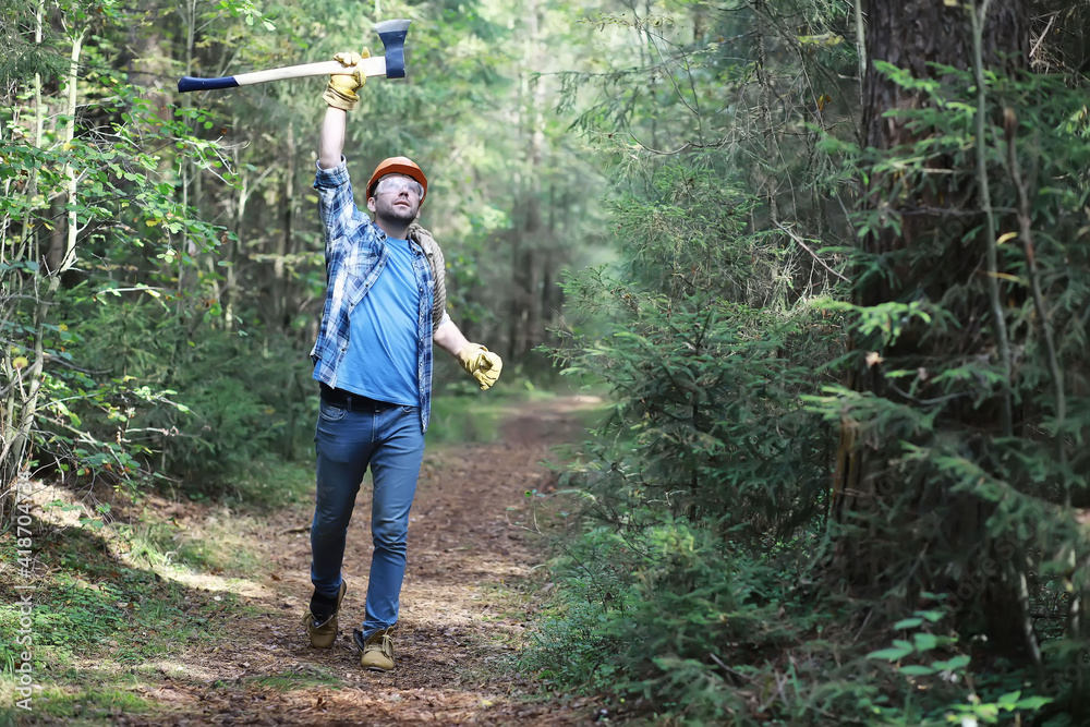 Wall mural Male lumberjack in the forest. A professional woodcutter inspects trees for felling.