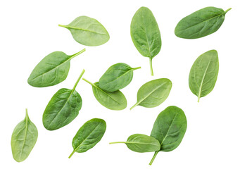 Spinach leaves are flying on a white. Isolated