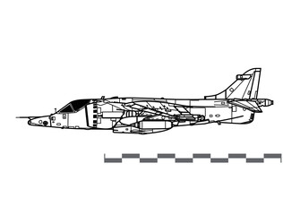 Hawker Siddeley Harrier GR.3. Vector drawing of VSTOL attack aircraft. Side view. Image for illustration and infographics. - obrazy, fototapety, plakaty