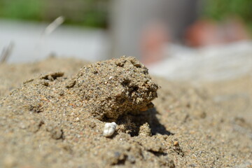 sand castle on the beach nature
