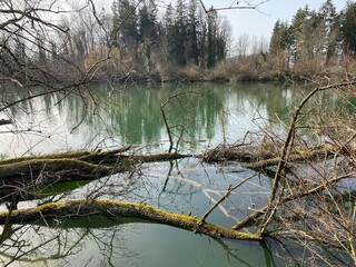 Reuss River before Lake Flachsee and in natural protection zone Aargau Reuss river plain...